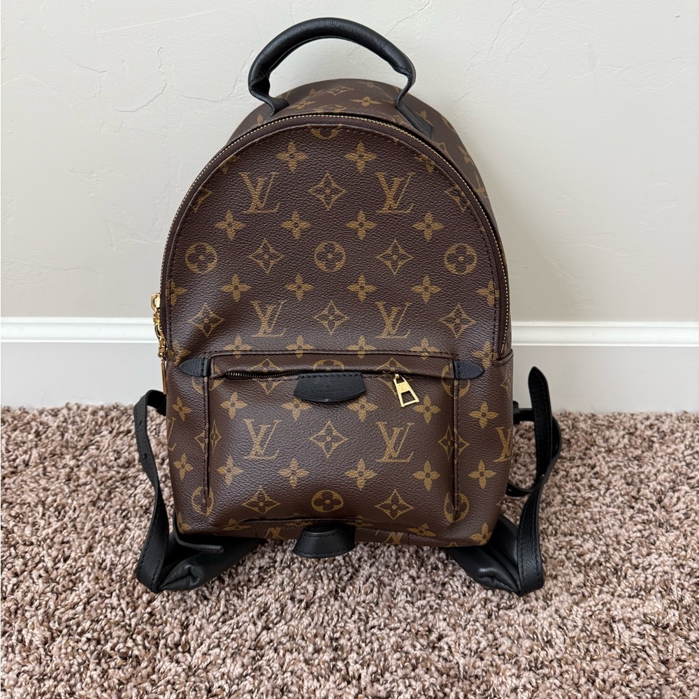 Louis Vuitton Palm Springs PM Backpack